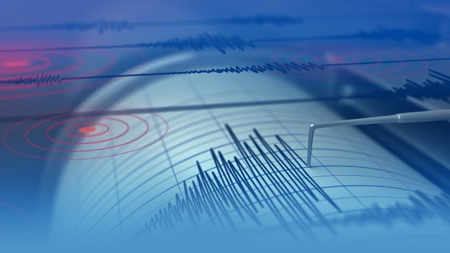 Земетресение с магнитуд 4 5 по скалата на Рихтер е регистрирано