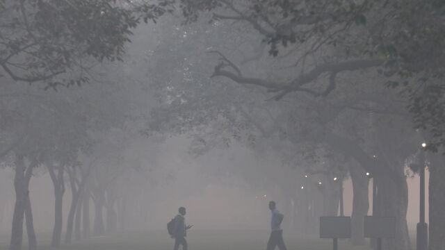 Индийската столица Ню Делхи отново осъмна в гъст смог рано