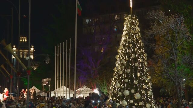  В София настроението публично е празнично: Грейна елхата на столицата - bTV Новините 