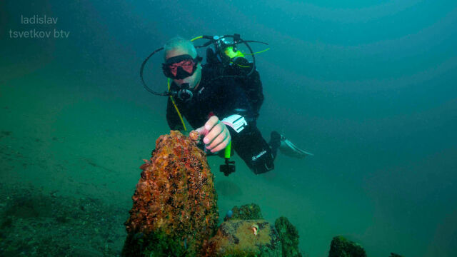 „Мисия 360“: Милиони години под вода - къде се намира „Вкаменената гора“ у нас? (СНИМКИ и ВИДЕО)