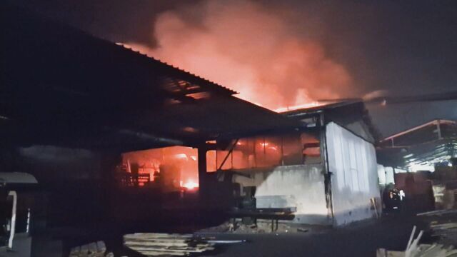 Пожар горя във фабриката за пелети в село Дунавци край
