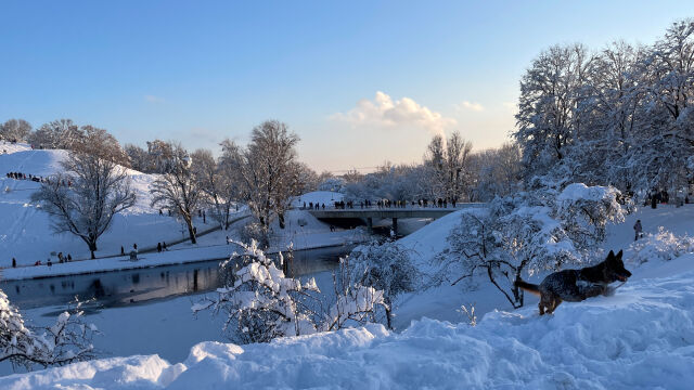 Продължава тежката зимна обстановка в Германия Властите в Бавария препоръчват