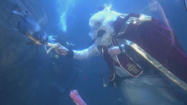 На 5 м дълбочина в огромен аквариум: Дядо Коледа храни рибите с банани (ВИДЕО)