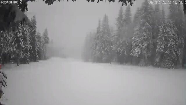 Над 20 сантиметра сняг натрупа в Пампорово а снеговалежът продължава