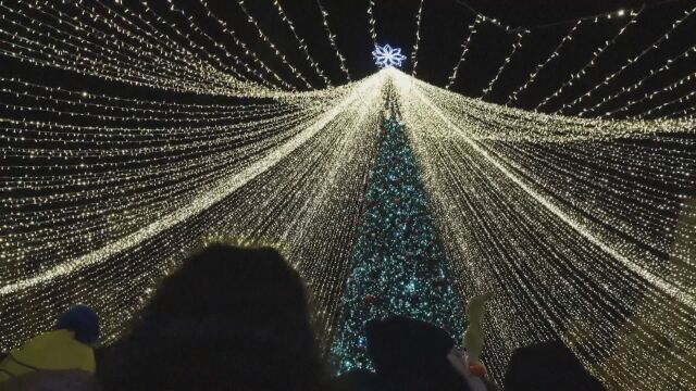 Един милион лампички осветиха централния площад в Тимишоара (ВИДЕО)