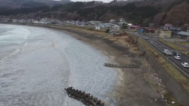 Тонове мъртва риба е изхвърлена край бреговете на Хакодате Япония Рибата