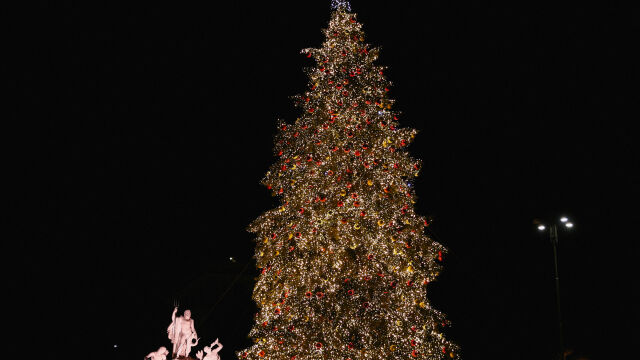 Коледните светлини в Рим са запалени Величествената коледна елха е