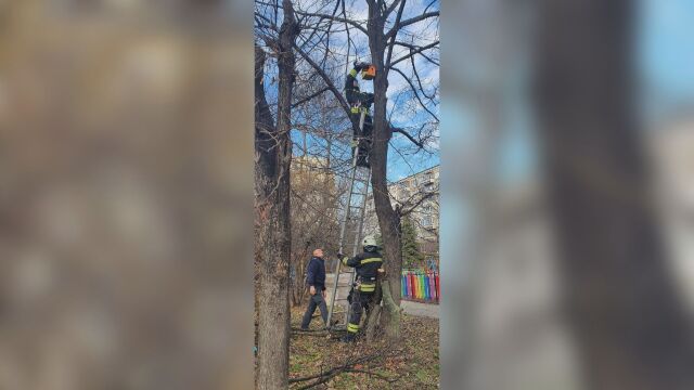 Пожарникари спасиха заклещила се катерица в къщичка за птици в
