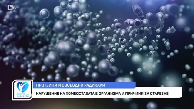 Снимка: Кое революционно научно откритие спира остаряването?