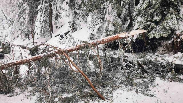 Сняг вали в почти цялата област Смолян след падане на