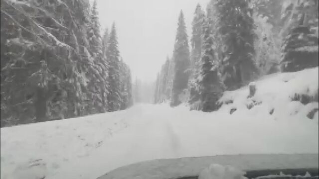 Тир и турски автобус с летни гуми блокираха движението през Пампорово и Рожен