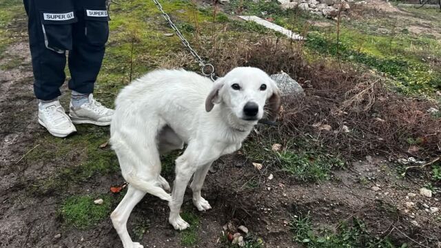  Вълна от съпричастност след призива за помощ да бъде намерен