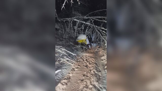 Тежка е зимната пътна обстановка в Пловдивско Множество паднали дървета