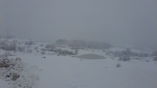 Родопите попаднаха днес в капана на снега след обилин валежи.Над