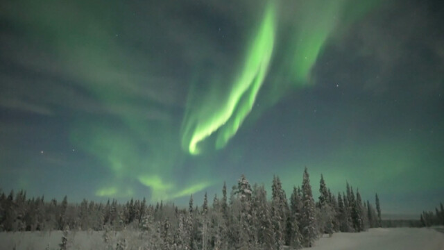 Красиви кадри от Северното сияние заснети над Лапландия Танцуващи зелени