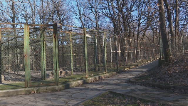 Вълкът от зоологическата градина в Хасково избяга Според общината хищникът