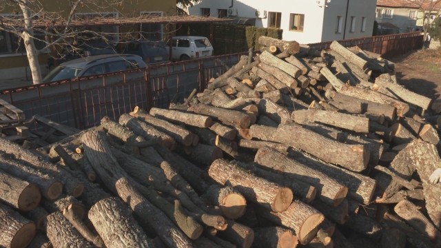 Държавата в битка срещу високите цени на дървесината Хората вече