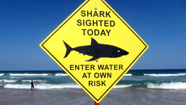 Първи смъртен случай след нападение на акула в Сидни от