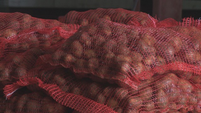 Производителите на картофи са готови за протест заради предложението за