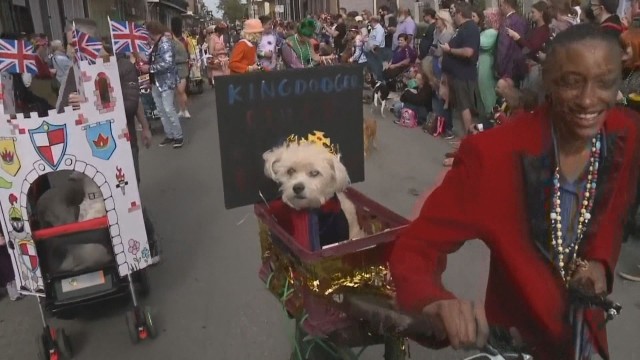 Необичаен карнавал се проведе в американския град Ню Орлиънс. Организираха