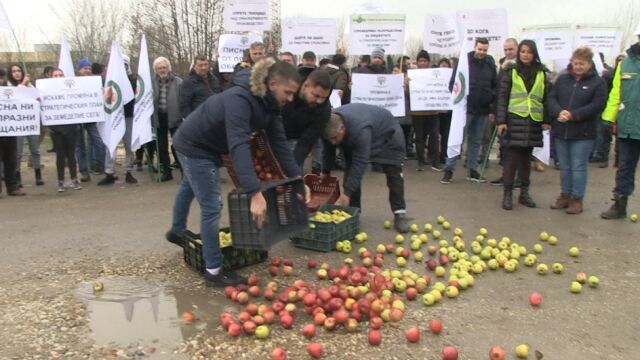 Протест на овощари и блокира Дунав мост при Русе Недоволството