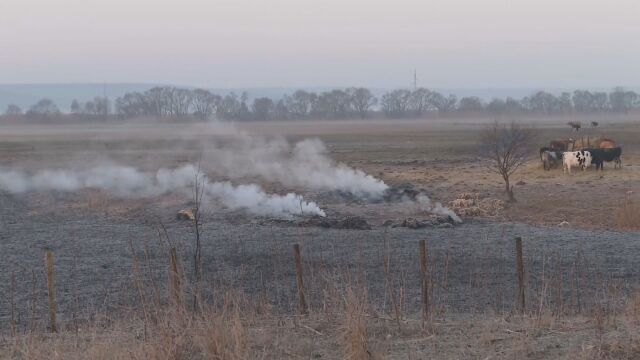 вчера следобед защитена местност Вая край Бургас Късно вечерта огънят