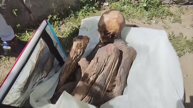 Полицията в Перу откри мумия в хладилна чанта на доставчик