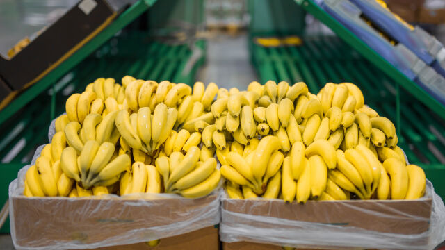 Полицията в Еквадор откри почти 8 8 тона в пратка банани