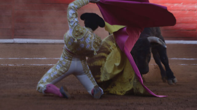 Зрелищната борба с бикове беше възстановена в Мексико но първата