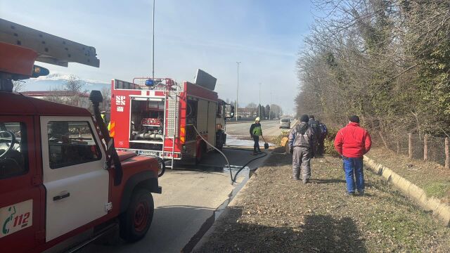 57 годишна жена пострада след като дърво пада върху кола на