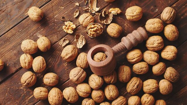 В унисон с кампанията ни Първата крачка в студиото на