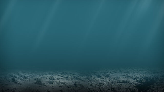 Полски граничари откриха кокаин на стойност 14 4 милиона евро на