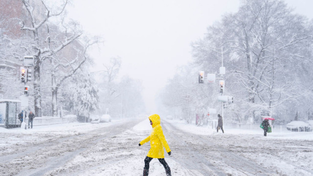 Снежни виелици връхлетяха американската столица Вашингтон Снеговалежът наложи затварянето на