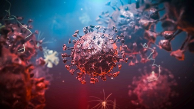 5703 са новите случаи на коронавирус в страната за денонощие.
