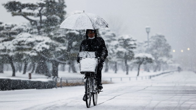 Заради необичайните снеговалежи в Токио са пострадали най-малко 215 души,