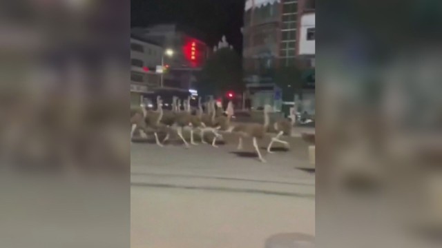 Жителите на град в Южен Китай станаха свидетели на необичайна