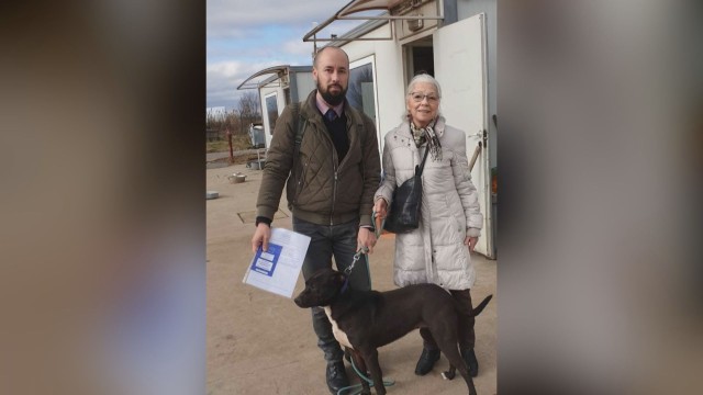Нов живот за бездомно куче от приюта в Горни Богров