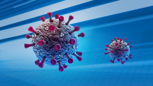 2903 са новите случаи на коронавирус за изминалото денонощие Направени