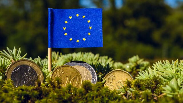 Какви валути се използват в ЕС?