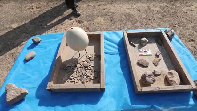 Археолози щраусови яйца за които се смята че са на
