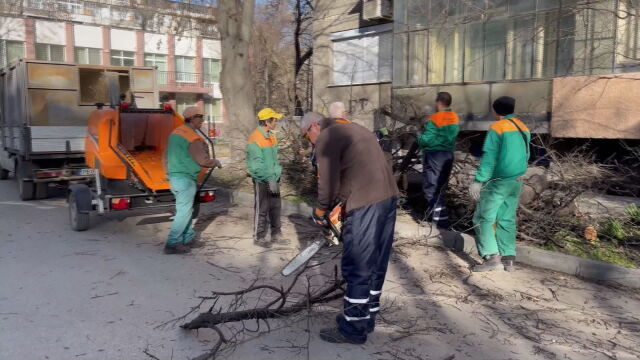 Едно от децата пострадали от падналото дърво в Пловдив по рано