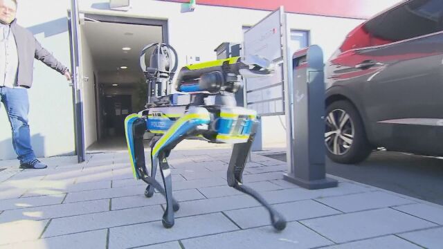 Куче робот може да следи за спазването на обществения ред