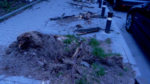 Материални щети от ураганния вятър в Стара Загора Силните пориви