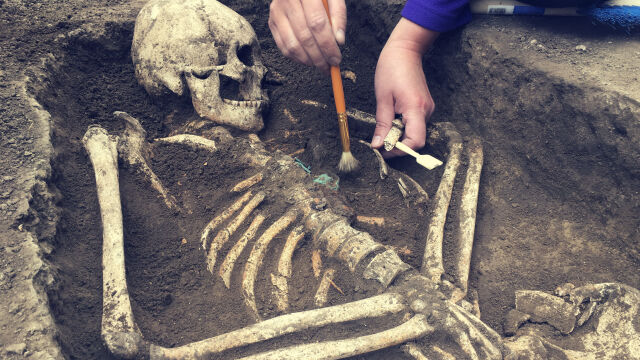 Археолози откриха рядко ранносредновековно гробище в Уелс Великобритания Предположенията са