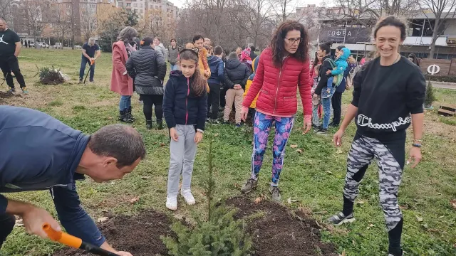 Акция „Жива елха” в Бургас