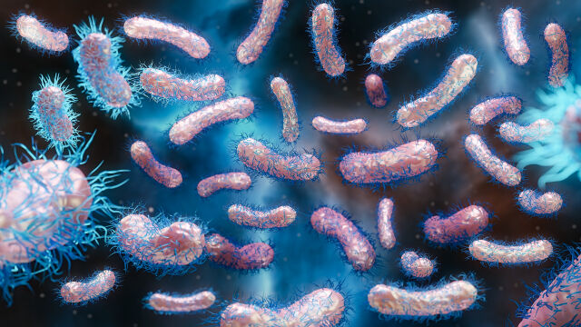 Учените са открили изцяло нов клас антибиотици които убиват една
