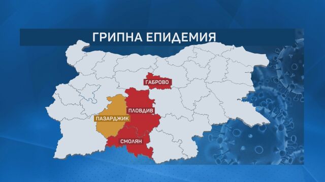 В Пловдив и Габрово обявяват грипна епидемия Мерките срещу разпространението