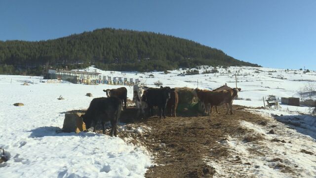  Министерството на земеделието забрани на земеделска земя да се садят