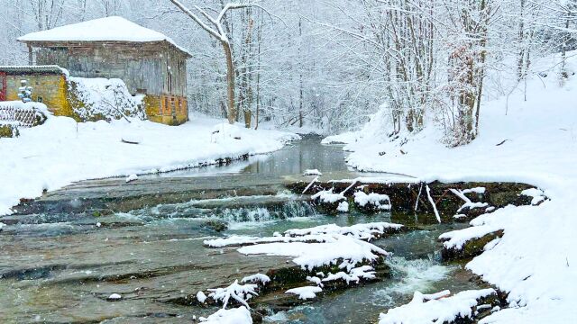 Трудно е да се опише красотата на зимата когато белият