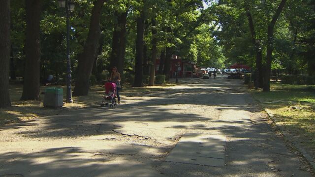 Ремонт на в столицата засега няма да има Той се